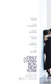 The Only Living Boy in New York